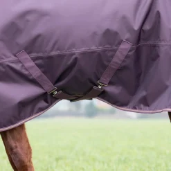 Shires Typhoon 100g Turnout Rug
