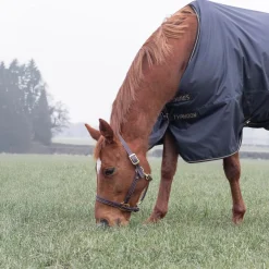 Shires Typhoon 50g Turnout Rug