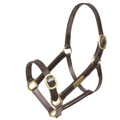 Shires Velociti GARA Fully Adjustable Leather Headcollar