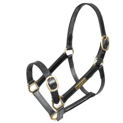 Shires Velociti GARA Fully Adjustable Leather Headcollar