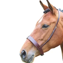Shires Velociti GARA Hunter Cavesson Noseband