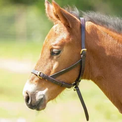 Shires Velociti GARA Leather Foal Slip