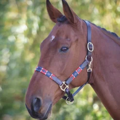Shires Velociti GARA Leather Polo Headcollar