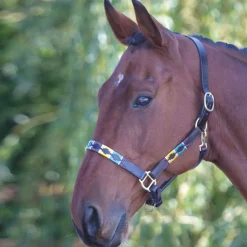 Shires Velociti GARA Leather Polo Headcollar