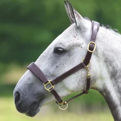Shires Velociti GARA Leather Travel Headcollar