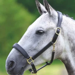 Shires Velociti GARA Leather Travel Headcollar