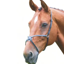 Shires Velociti GARA Mexican Noseband