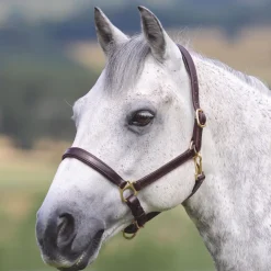 Shires Velociti GARA Ragley Lined Leather Headcollar