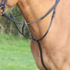 Shires Velociti GARA Running Martingale