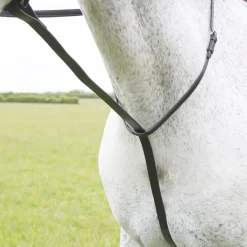 Shires Velociti GARA Standing Martingale