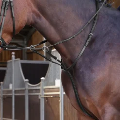 Shires Velociti LUSSO Elite Running Martingale