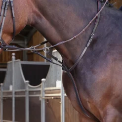 Shires Velociti LUSSO Elite Running Martingale