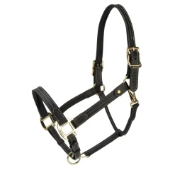 Shires Velociti Lusso Girona Leather Headcollar