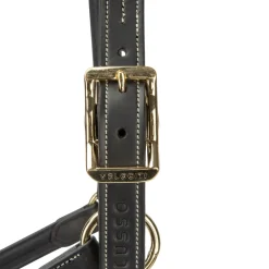 Shires Velociti Lusso Girona Leather Headcollar