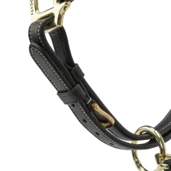 Shires Velociti Lusso Girona Leather Headcollar