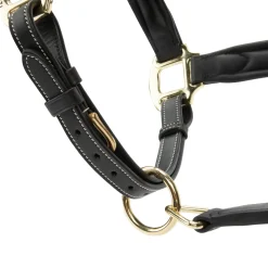Shires Velociti Lusso Lorca Leather Headcollar