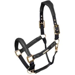 Shires Velociti Lusso Padded Leather Headcollar