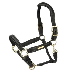 Shires Velociti Rapida Comfort Leather Headcollar