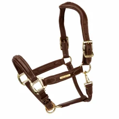 Shires Velociti Rapida Comfort Leather Headcollar