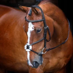 Shires Velociti RAPIDA Grackle Bridle