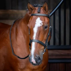 Shires Velociti RAPIDA Hunter Cavesson Bridle