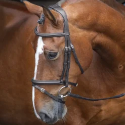 Shires Velociti RAPIDA Padded Raised Flash Bridle