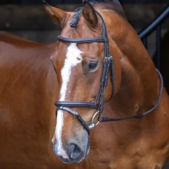 Shires Velociti RAPIDA Padded Raised Flash Bridle