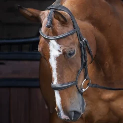 Shires Velociti RAPIDA Rolled Padded Cavesson Bridle