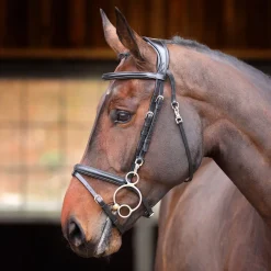 Shires Velociti Rapida Training Bridle