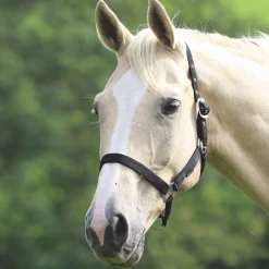 Shires Wessex Headcollar