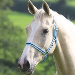 Shires Wessex Headcollar