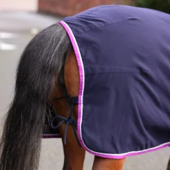 Shires Winnie & Me Stable Sheet