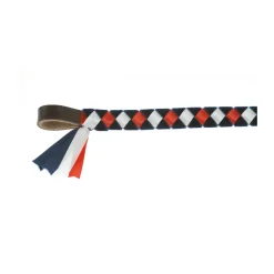 ShowQuest Epson Browband