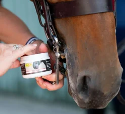 Smart Grooming Lip and Bit Balm