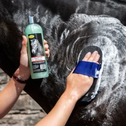 Smart Grooming Peppermint Shampoo