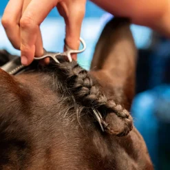 Smart Grooming Plaiting Grippers
