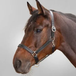 STAR Diamond Leather Halter
