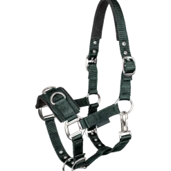 STAR Economic Lunging Halter