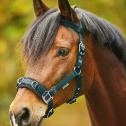 STAR Economic Lunging Halter
