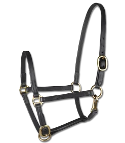 STAR Leather Foal Halter