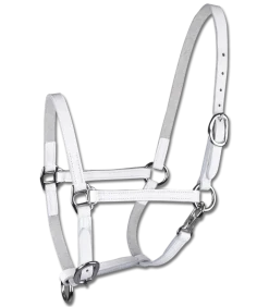 STAR Leather Foal Halter