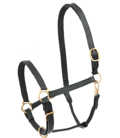 STAR Leather Halter