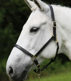 STAR Leather Halter