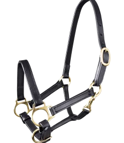 STAR Leather Halter