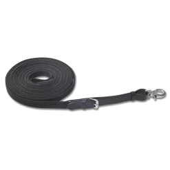 STAR Lunging Line Without Whirl and Loops