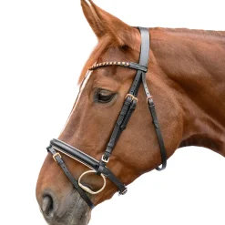 Star Rose Gold Bridle