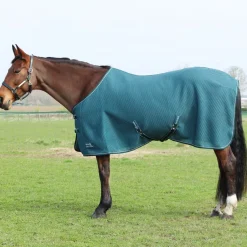 StormX Empra AirFlex 3D Rug