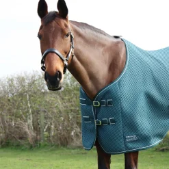 StormX Empra AirFlex 3D Rug