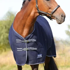 StormX Empra AirFlex 3D Rug