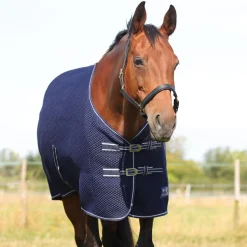 StormX Empra AirFlex 3D Rug